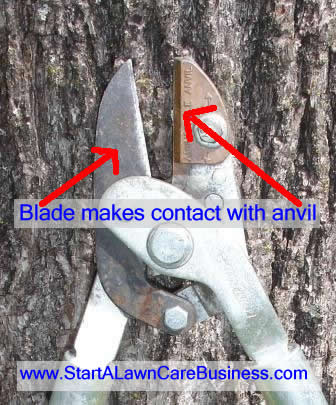 anvil and cutting blade