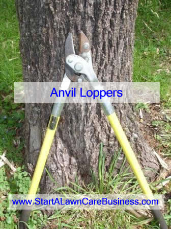 anvil loppers for cutting hardwood