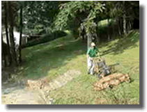 commercial lawn mower walkbehind