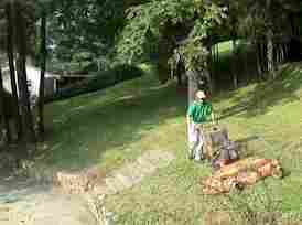 commercial lawn mower