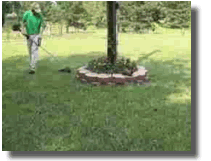 weedeater string trimmer grass care