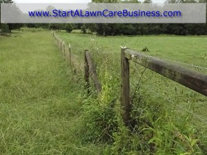 Make money with fence clearing. Lawn Care Business.