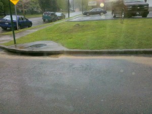 Landscaping runoff enters a stormwater drain.