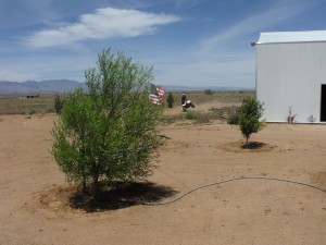Raking lawns in the Southwest desert