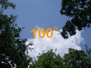 100 Degrees Summer Temperatures and your Lawn Care Business