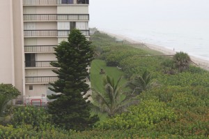 Apartment Complex Mowing Contracts