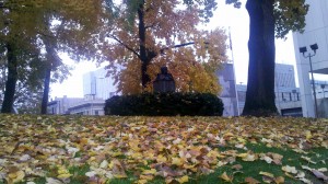 Leaf cleanup hampered by Occupy Wall Street