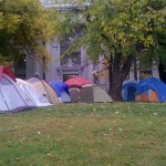 Occupy Lawn Care