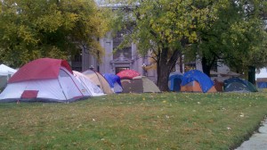 Occupy Lawn Care