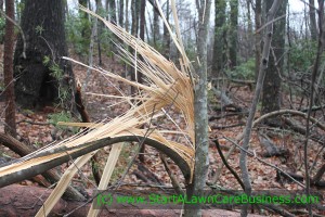 tornadoes_and_storm_damage_lawn_care_business