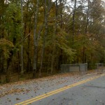 Leaf Raking Season is Coming