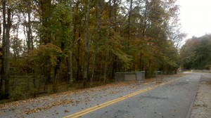 Leaf Raking Season is Coming