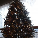 Lawn Care Christmas_Tree