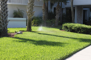 lawn care business