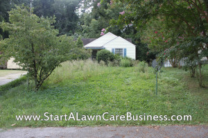 overgrown lawn mowing money